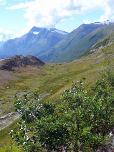 View from along the highway to Valdez