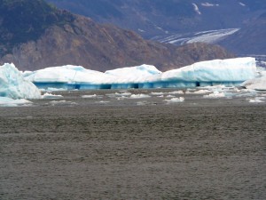 Glacier ice from the Columbia Glacier