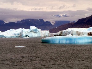 Chunks of Columbia Glacier ice