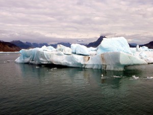 Chunks of Columbia Glacier ice