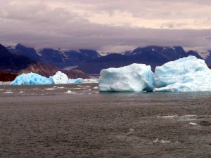 Chunks of Columbia Glacier ice