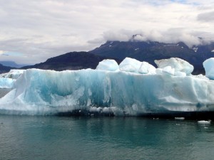 Chunks of Columbia Glacier ice