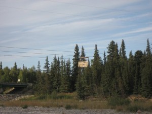 We spent Tuesday in Fairbanks at the Univerity of Alaska Museum. Then restocked food and headed south towards Denali, spending the night at Tatlanika Trading Co. The RV park is through those trees. Very nice place to spend the night.