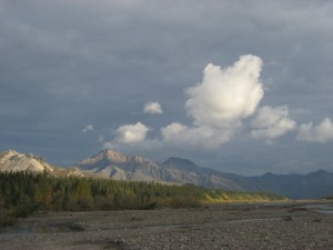 View from the edge of the Teklanika River