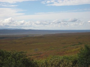 Denali National Park