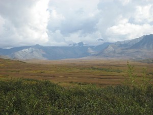 Denali National Park