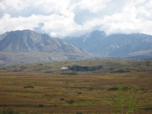 "Green Glacier" in Denali National Park