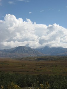 "Green Glacier" in Denali National Park