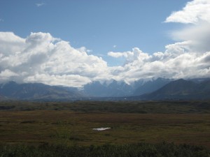 Denali National Park