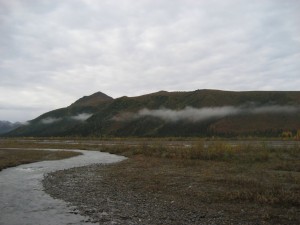 Teklanika River in the morning