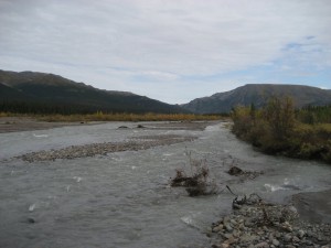 Teklanika River