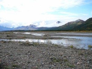 On our third day in Denali, Kari, Chelsi, Nick, and Nathan hiked upriver to where the park road crosses the river. 
