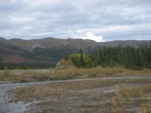 The hill in the foreground is where some of the previous Teklanika River pictures were taken from.