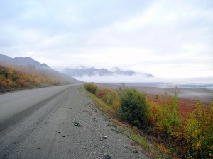 Early morning view as we drive out of Denali on our last day in Alaska 
